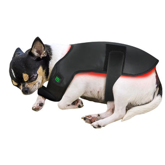 Red Light Therapy Pet