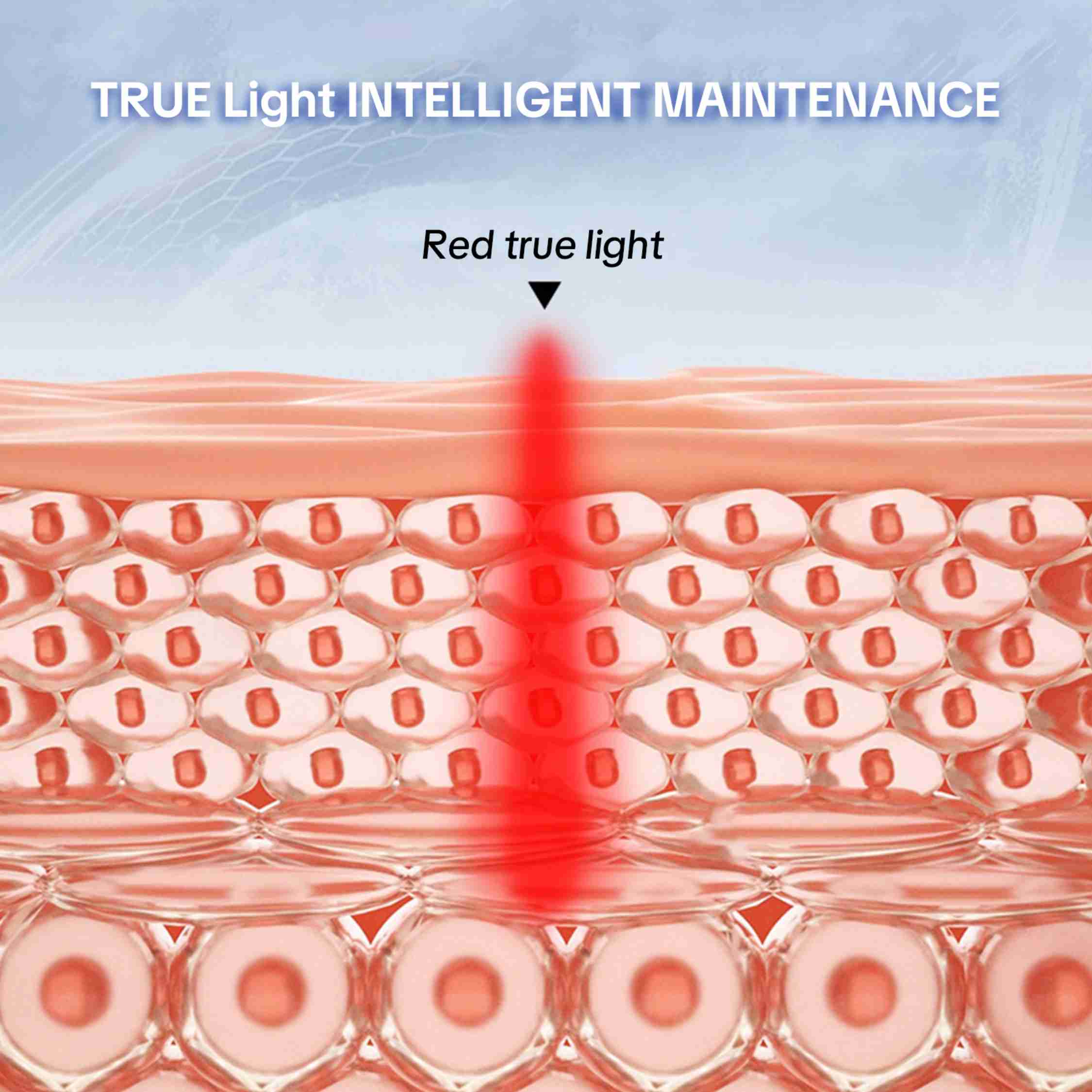 Red Light Therapy Cap 3 IN 1 Chips with 272 Led 650nm Red Light Therapy Hat for Hair Loss Treatment