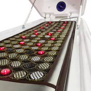 Red Light Therapy Spa Bed Pod Far Infrared Wet Steam Ozone Sauna Spa Capsule Weight Loss