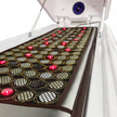 Red Light Therapy Spa Bed Pod Far Infrared Wet Steam Ozone Sauna Spa Capsule Weight Loss