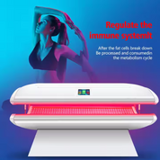 Red Light Therapy Bed Tunnel Design 633nm 810nm 850nm 940nm Light Combo Photo biomodulation led therapy Bed