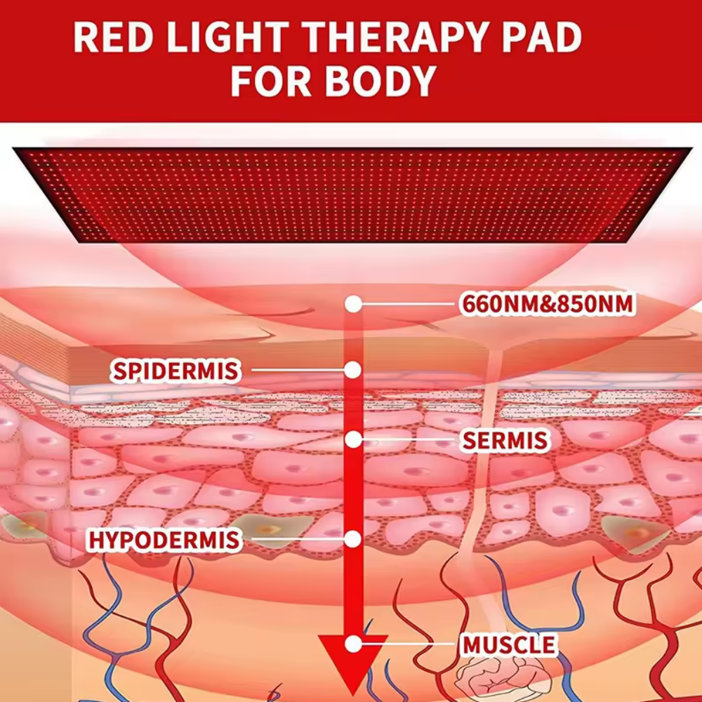 Red Light Mat Full Body LED 660nm Red Light Therapy Mat 850nm Near Infrared Light Therapy Devices Large Pads for Whole Full Body Pain Relief With  1280pcs red light therapy mat full body