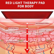 Red Light Mat Full Body LED 660nm Red Light Therapy Mat 850nm Near Infrared Light Therapy Devices Large Pads for Whole Full Body Pain Relief With  1280pcs red light therapy mat full body