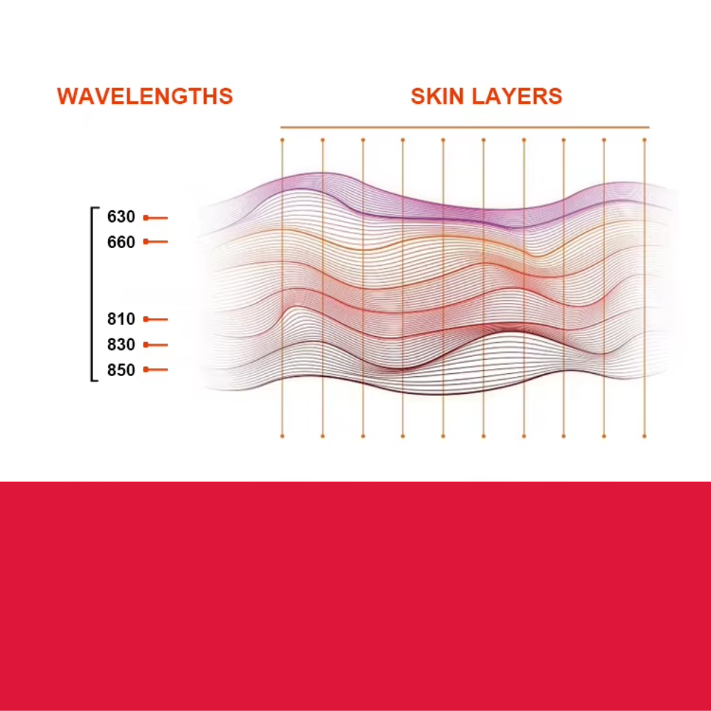Valenluma Zenith Elegant Series 3600W Red Light Therapy Panel with Stand  840PCS LED Full Body Infrared Therapy for Wellness & Recovery