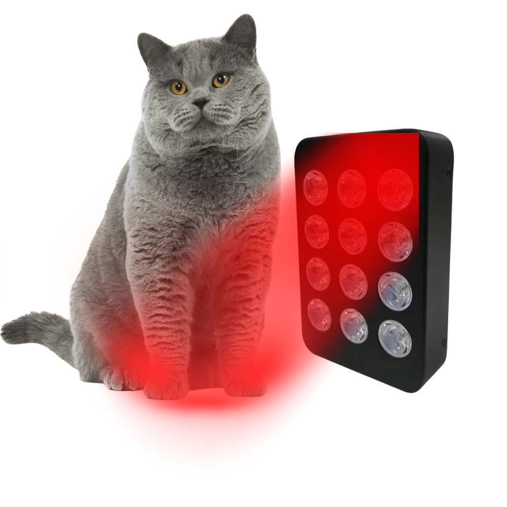Mini Handheld  Red Infrared  Led Red Light Therapy Panel 24 Pcs
