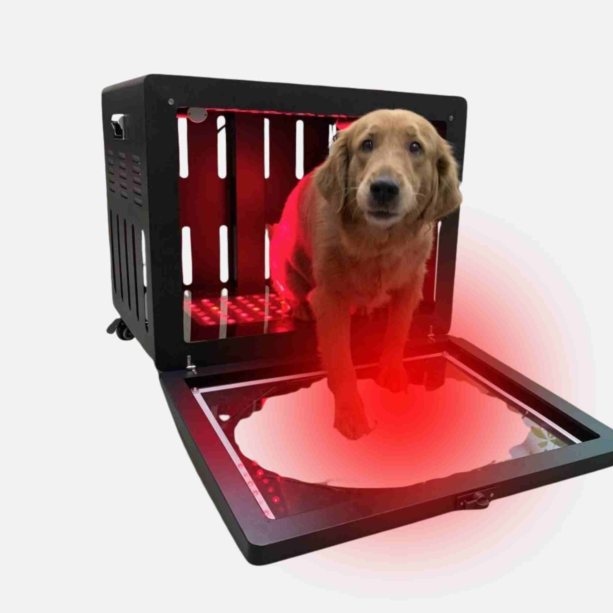Red Light Pet Therapy Enclosure with 630/660/810/830/850nm Wavelengths for Cat Dog Recovery